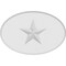 Ekena Millwork Standard Dalton Star Rosette With Rounded Edge, 8"W x 5 1/4"H x 1"P ROSP080X053X100DAL08 - alternate 4